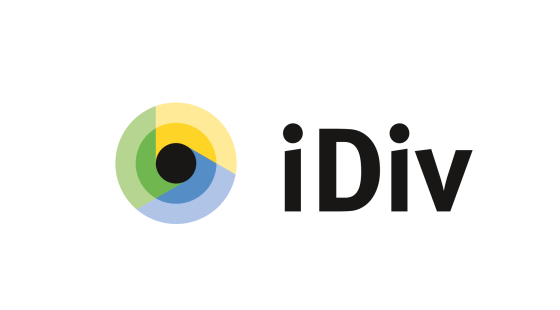 iDiv logo